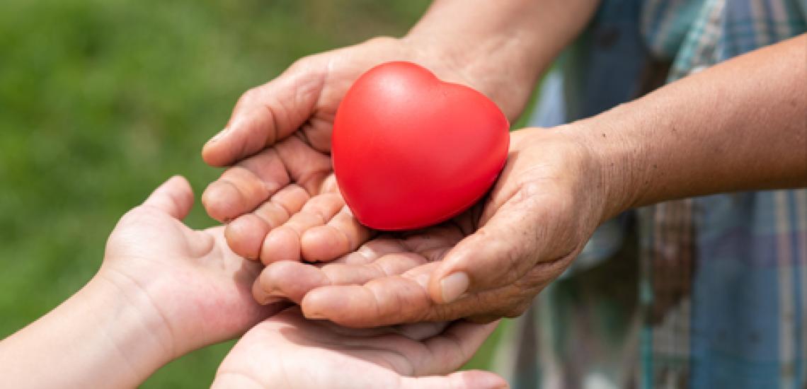 Clauses particulières dans les actes de donation : demandez une rédaction sur mesure !